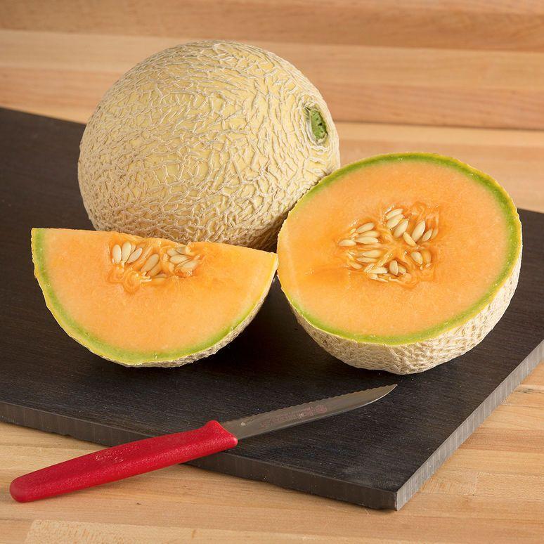 Melon Divergent F1 Organic