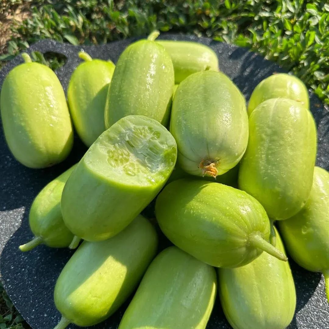 Mini cucumber Seeds