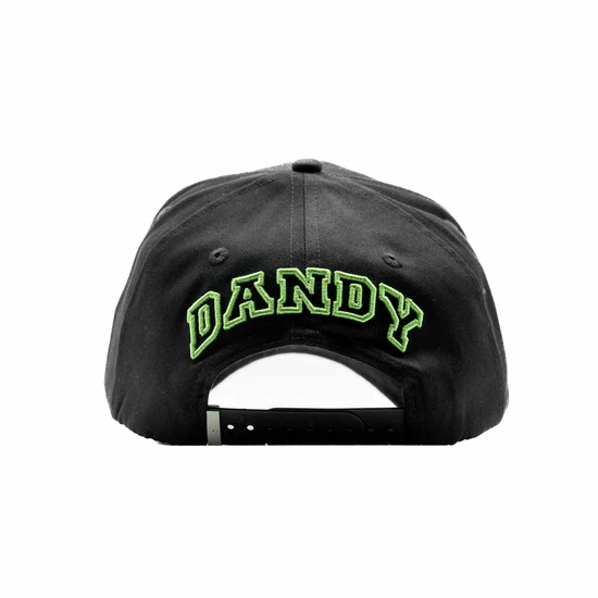 NEW ERA X DANDY HATS DANDY NEW YORK  UV FITTED CAP THE SOUTH CAP-Thesouthcaps