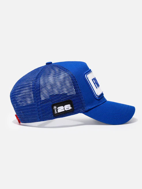 FIFA WORLD CUP 2026 TEAM CAP - FRANCE-Thesouthcaps