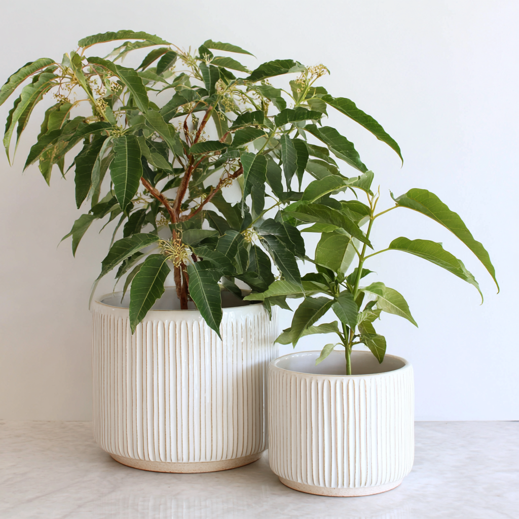 Vasi e supporti per piante in ceramica set 2 pezzi 25x25x28 cm - 18x18x20 cm - bianco - design moderno - adatti per interni-Domainene