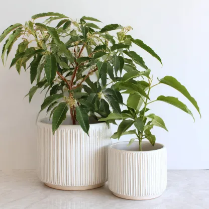 Vasi e supporti per piante in ceramica set 2 pezzi 25x25x28 cm - 18x18x20 cm - bianco - design moderno - adatti per interni-Domainene