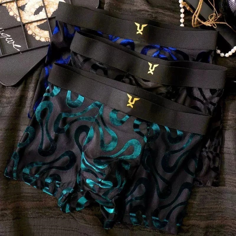 Sheer Mesh Boxer Briefs with Abstract Swirl Print