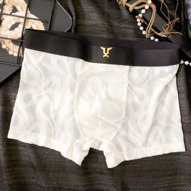 Sheer Mesh Boxer Briefs with Abstract Swirl Print