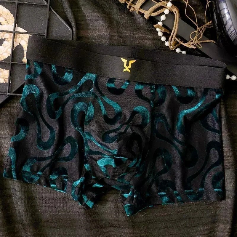 Sheer Mesh Boxer Briefs with Abstract Swirl Print