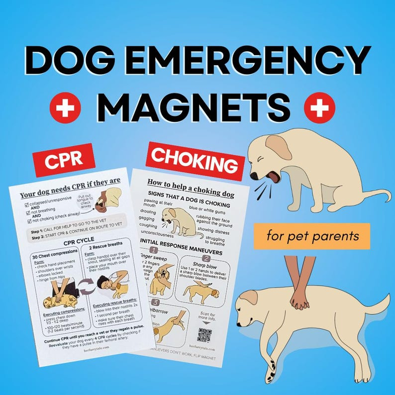 Cat & Dog CPR Choking Emergency Magnet Guide, Pet Safety Reference（2-Pack）