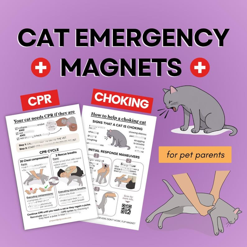 Cat & Dog CPR Choking Emergency Magnet Guide, Pet Safety Reference（2-Pack）
