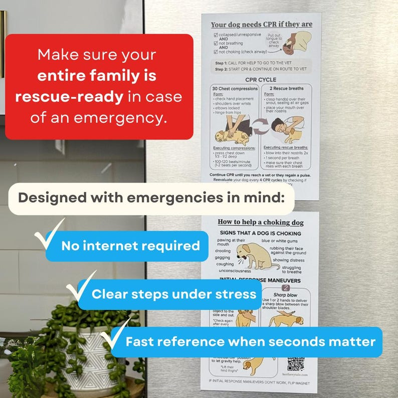Cat & Dog CPR Choking Emergency Magnet Guide, Pet Safety Reference（2-Pack）