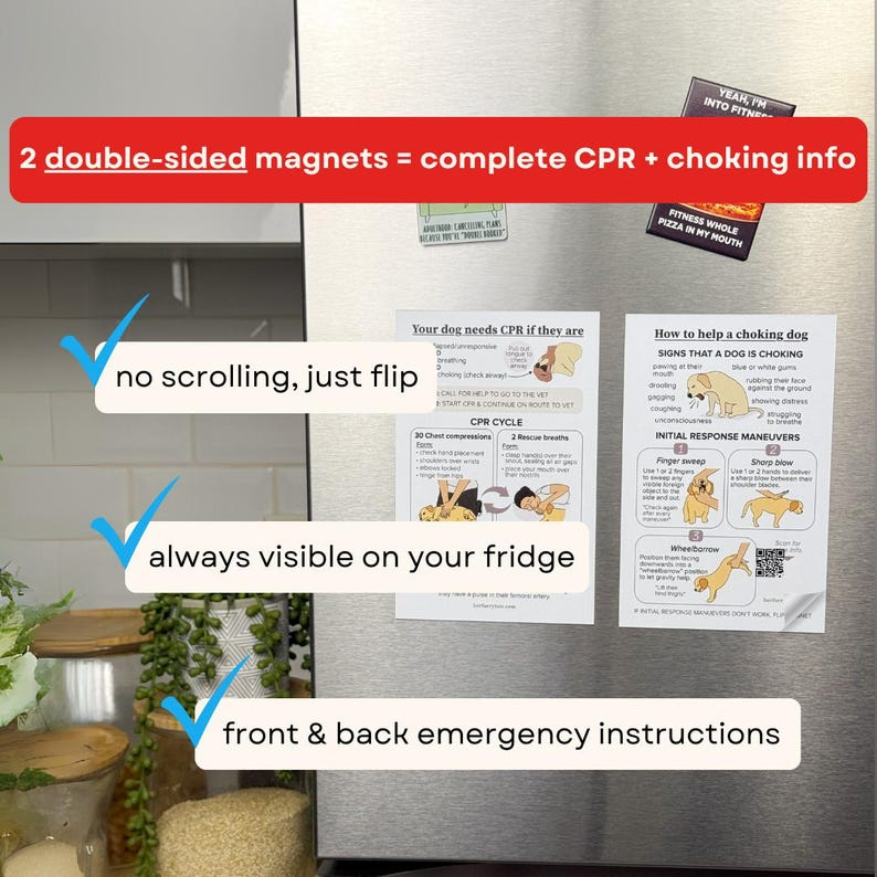 Cat & Dog CPR Choking Emergency Magnet Guide, Pet Safety Reference（2-Pack）