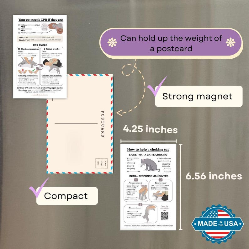 Cat & Dog CPR Choking Emergency Magnet Guide, Pet Safety Reference（2-Pack）