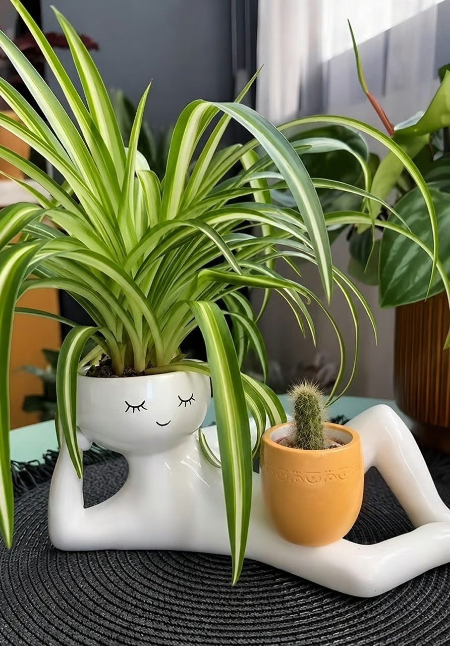 Double Plant Pot with a Funny Twist | Unique Home Plant Decor