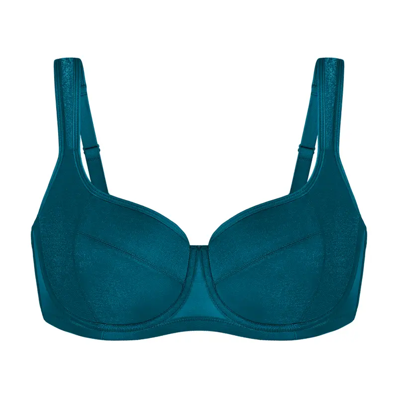 HSIA Starry Night Lightly Lined Lightly Padded Demi Plus Size Balconette Bra