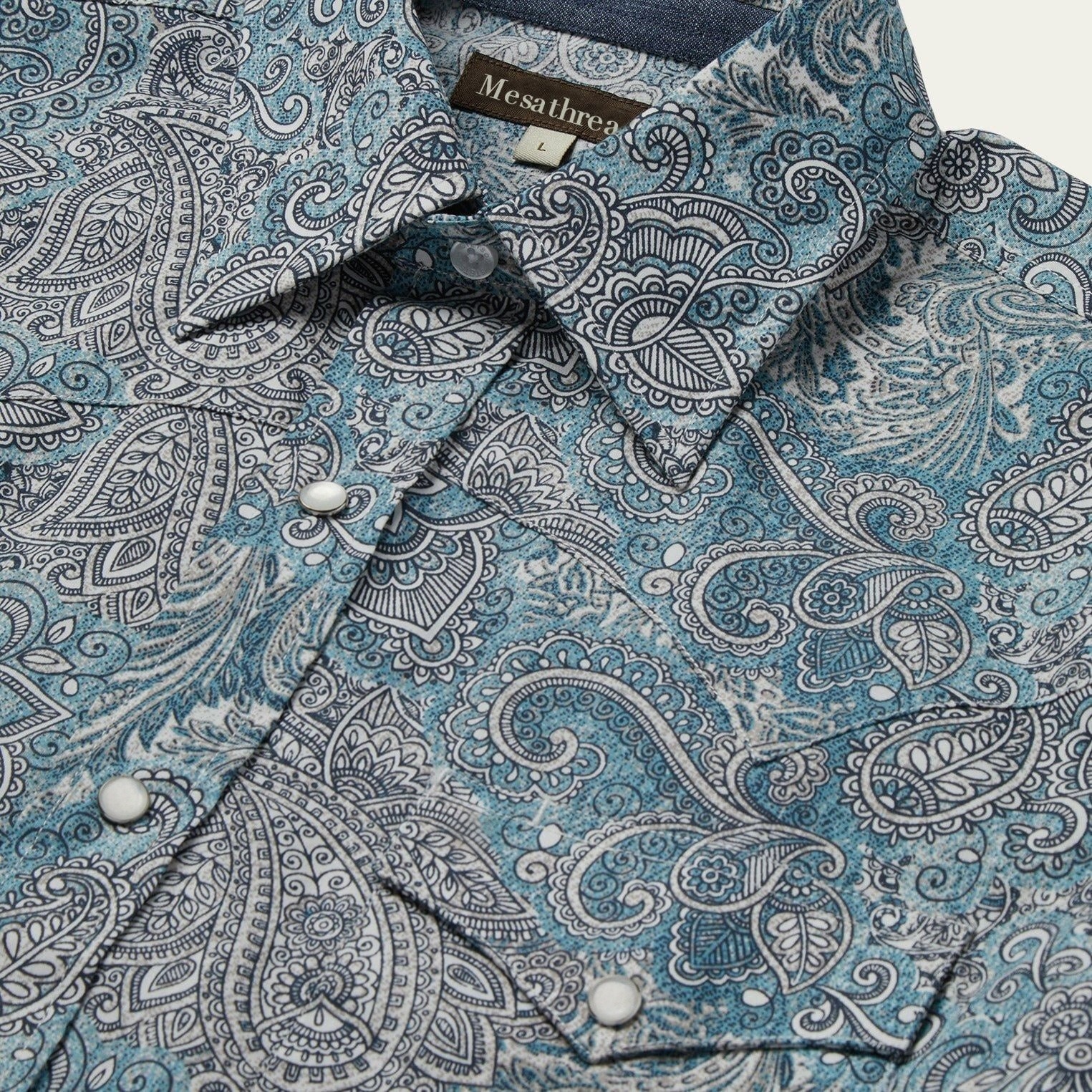 Paisley Western Shirt