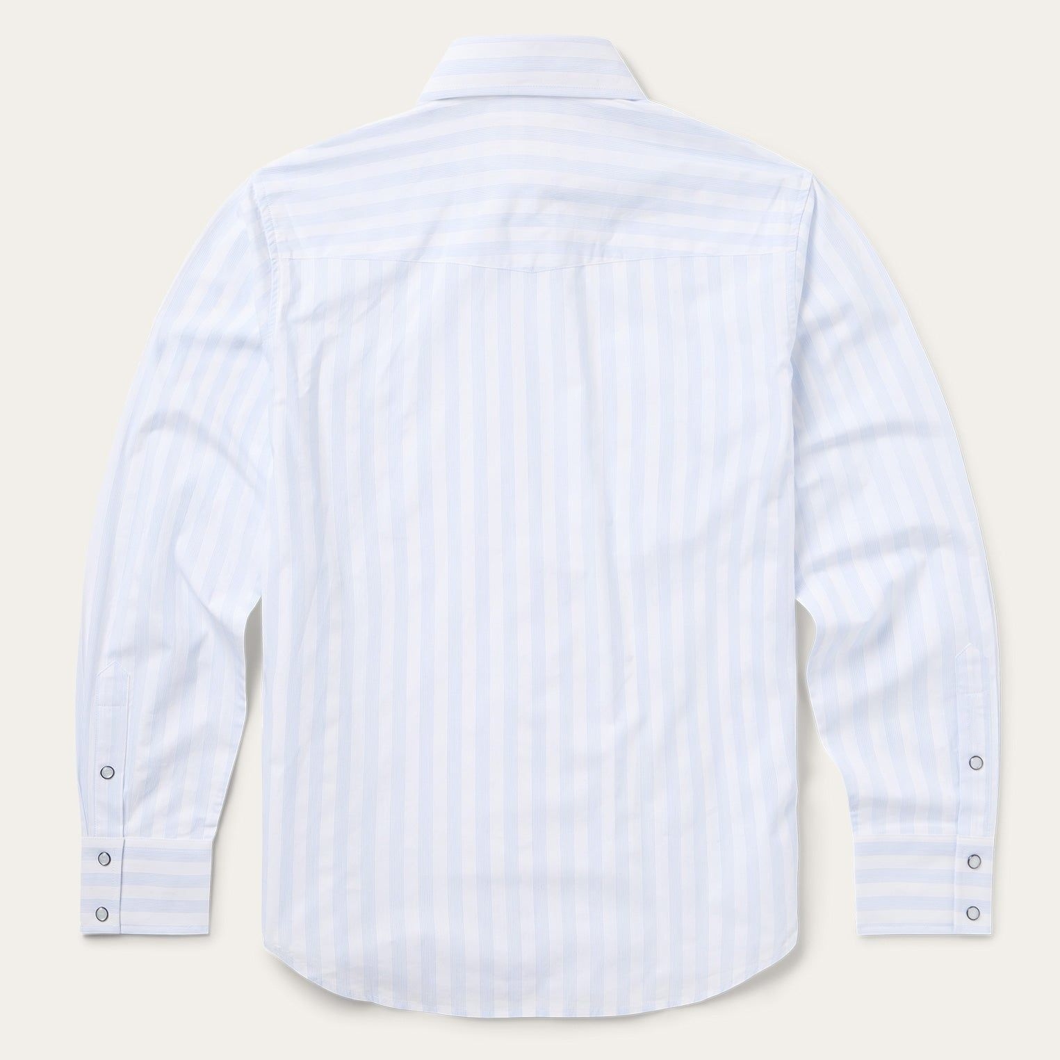 The Skyway Rail | Light Blue Stripe Long-Sleeve Western