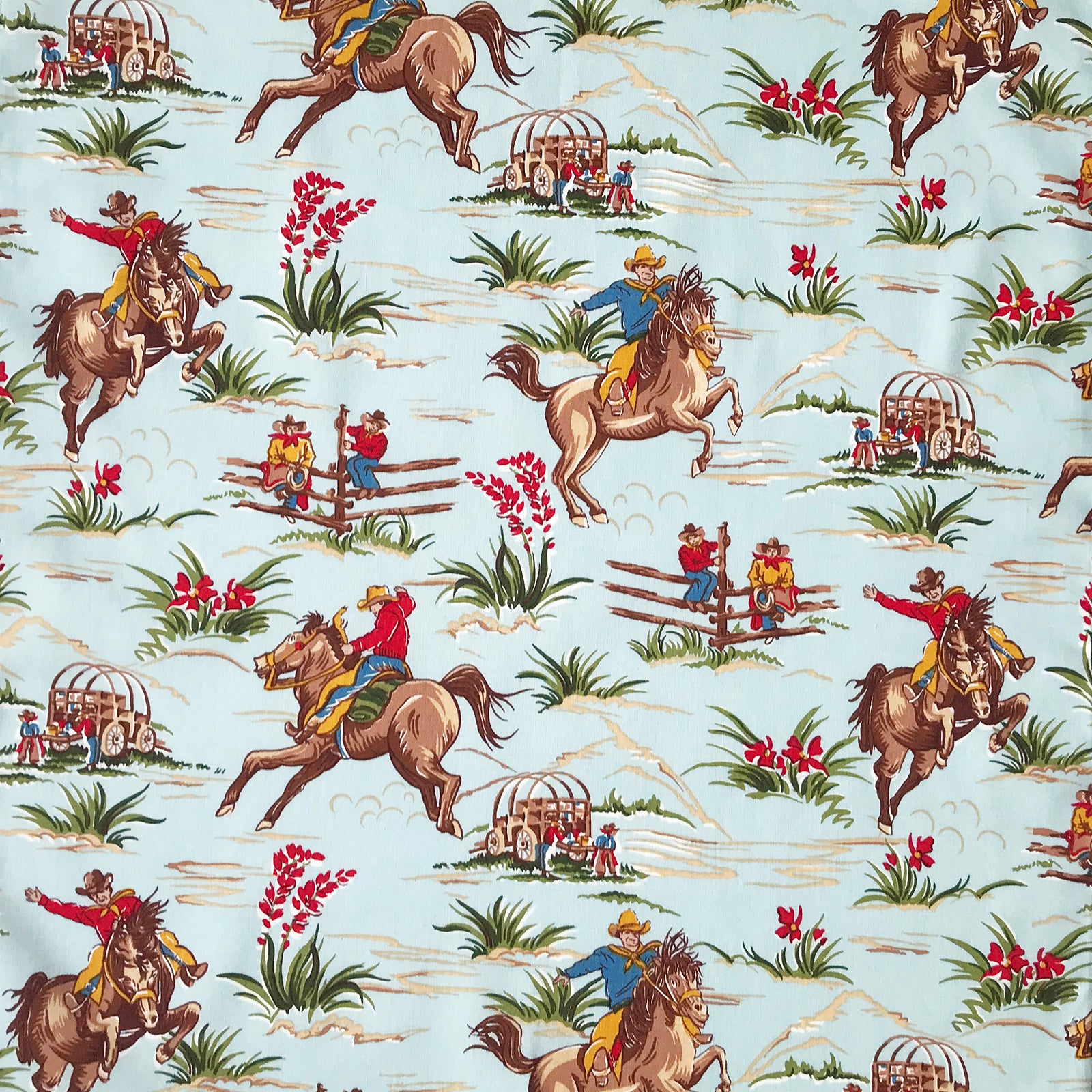 Men’s Vintage Light Blue Print Western Shirt-MesaThread