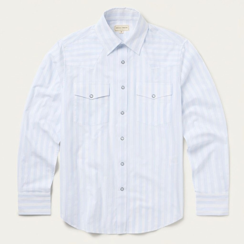 The Skyway Rail | Light Blue Stripe Long-Sleeve Western