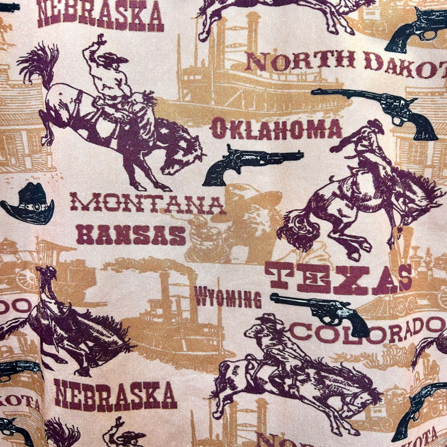 Men's Vintage Brown States Western Shirt-MesaThread