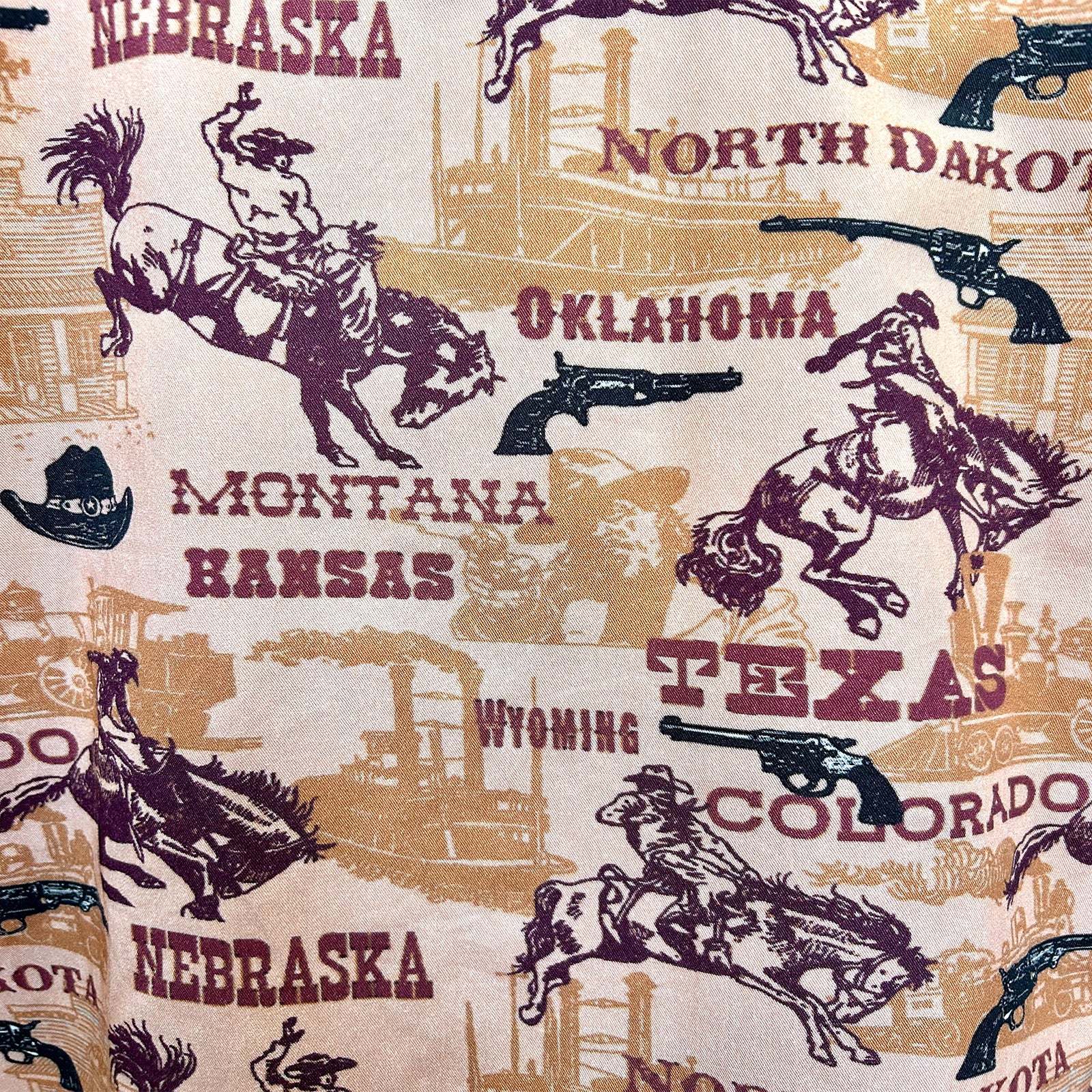 Men's Vintage Brown States Western Shirt-MesaThread