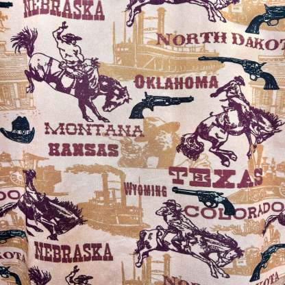 Men's Vintage Brown States Western Shirt-MesaThread