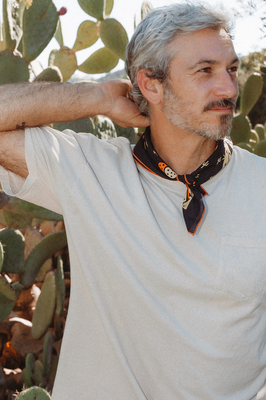 Cactus Dream-MesaThread