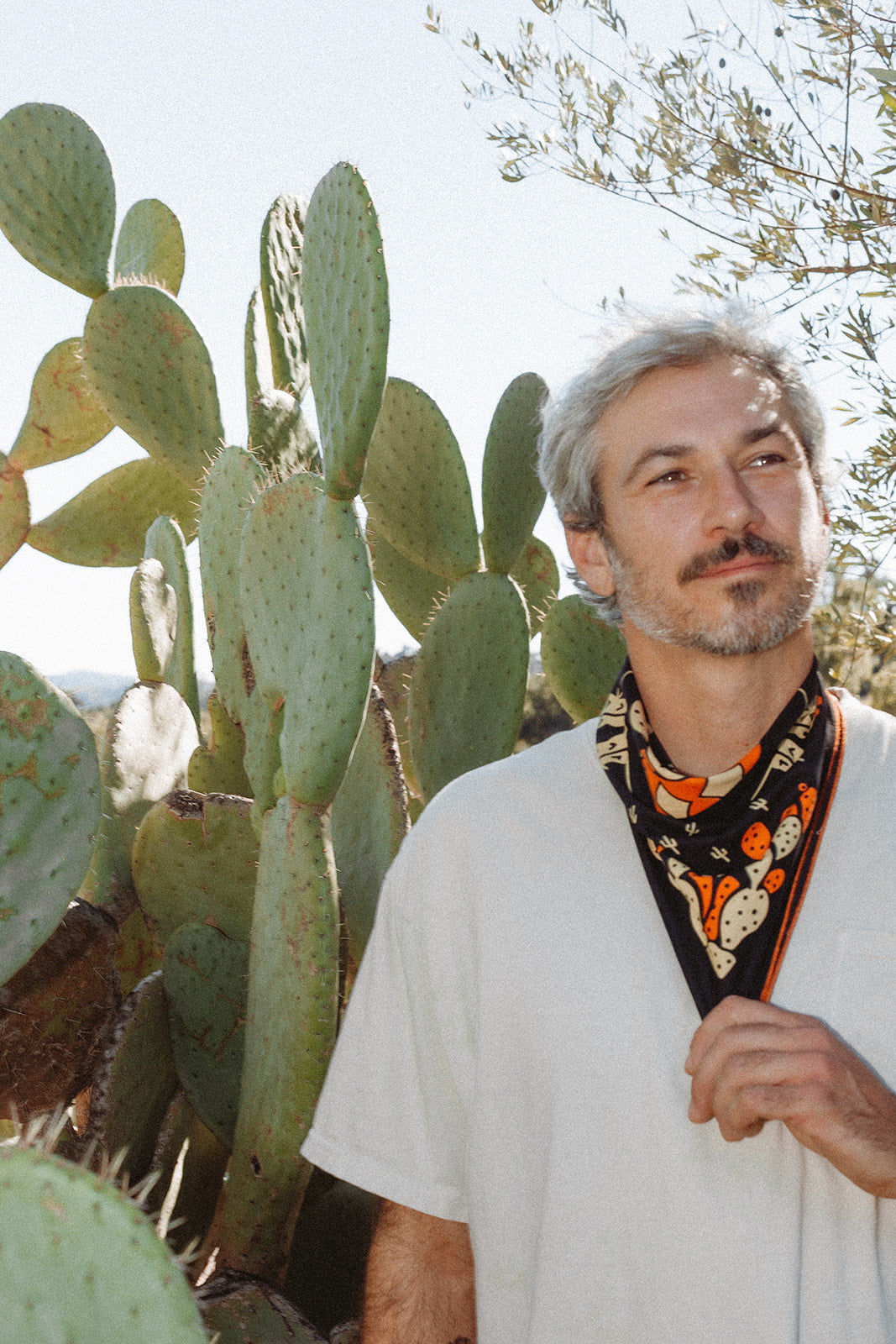 Cactus Dream-MesaThread