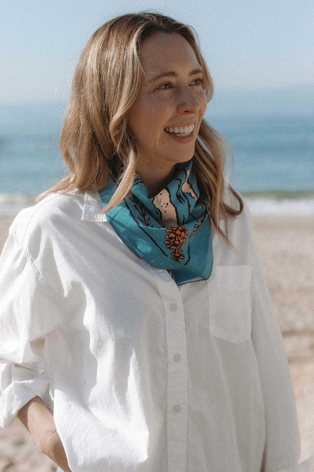 Volcano And Sea-MesaThread