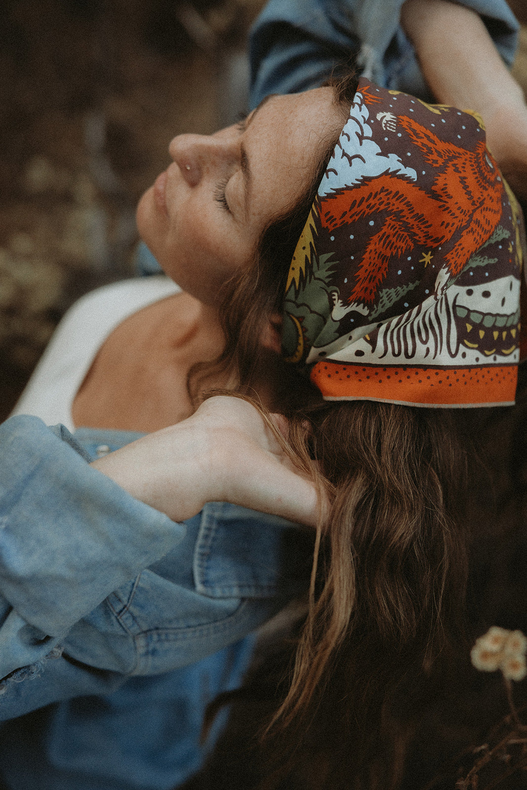 Creatures Of The Night-MesaThread