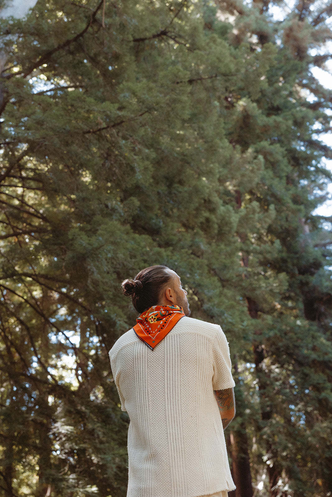 Summer Breeze-MesaThread