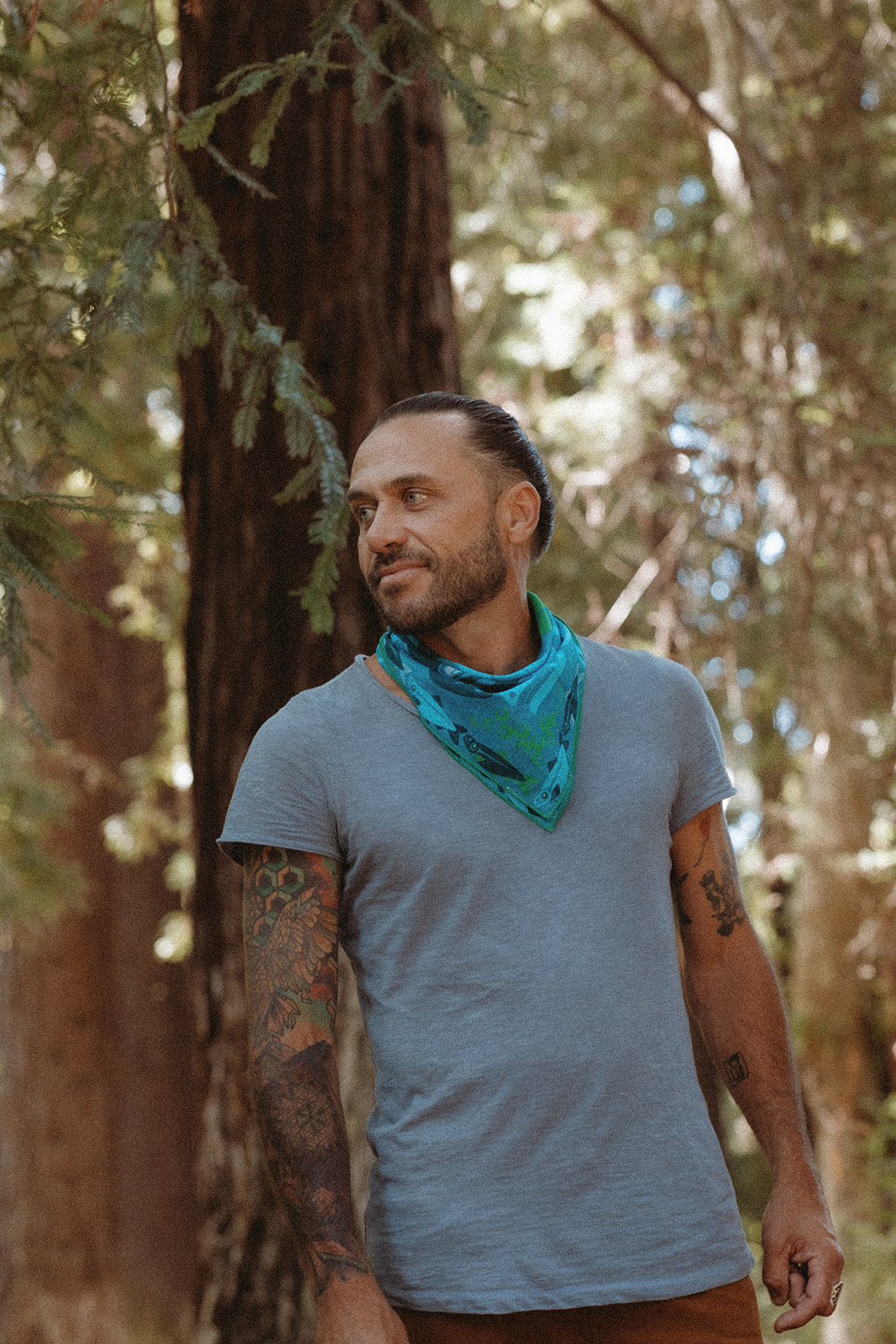 Hintak.'Ádi (Sea Life)-MesaThread