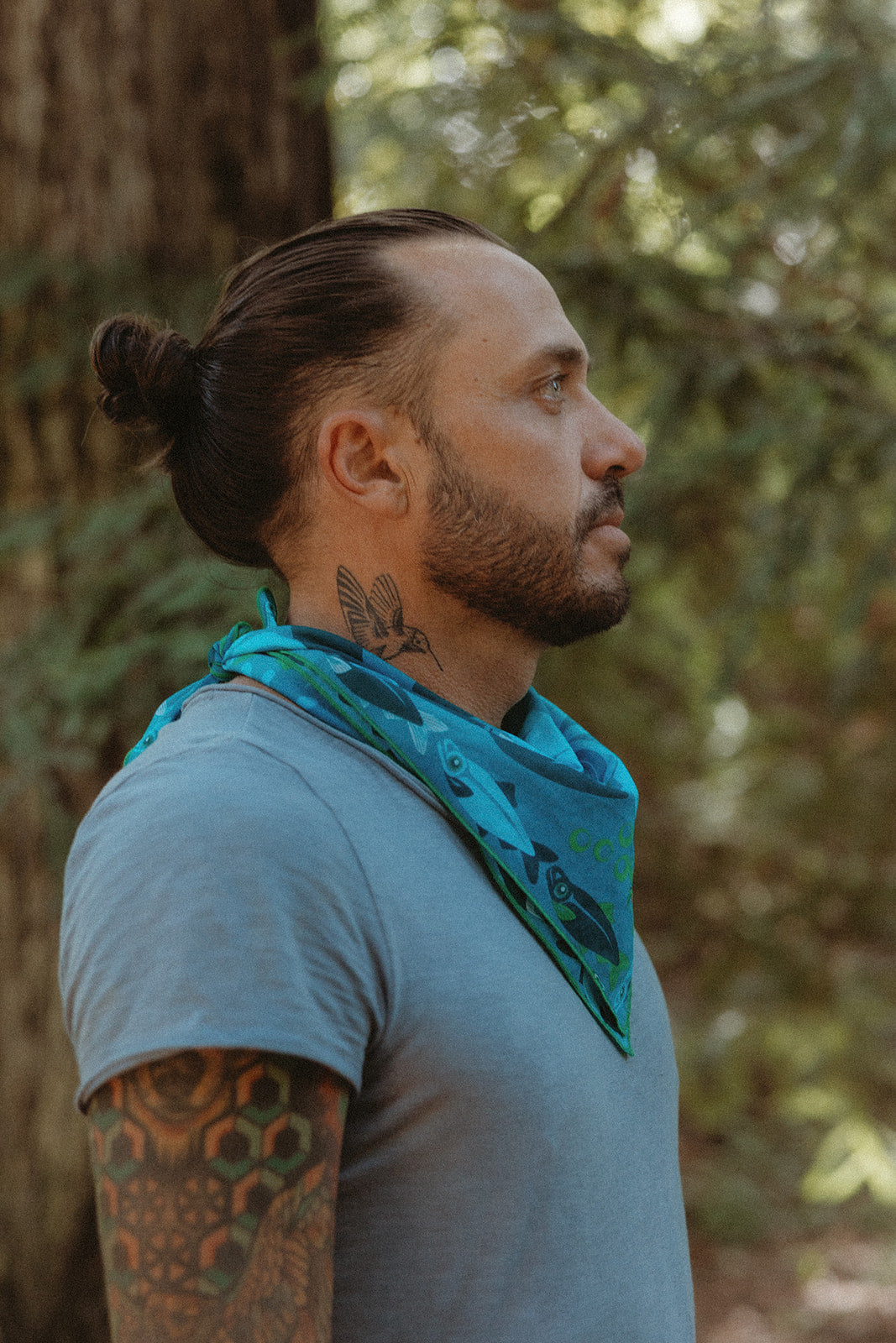 Hintak.'Ádi (Sea Life)-MesaThread