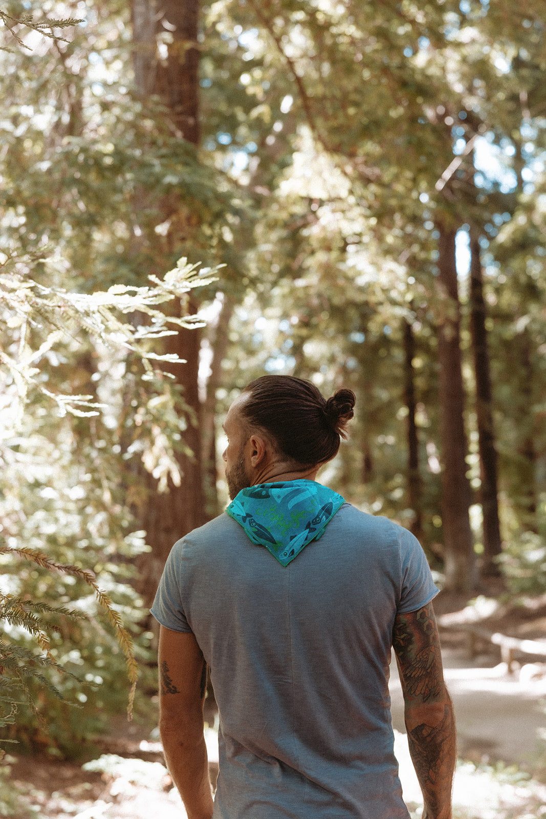 Hintak.'Ádi (Sea Life)-MesaThread