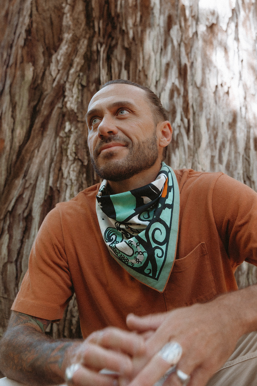 Due North-MesaThread