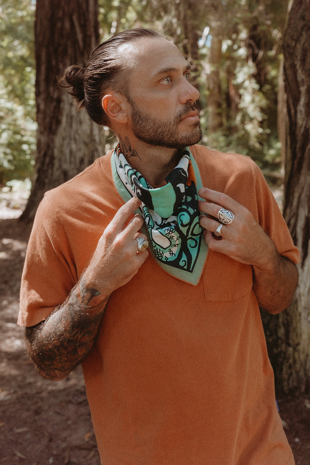 Due North-MesaThread