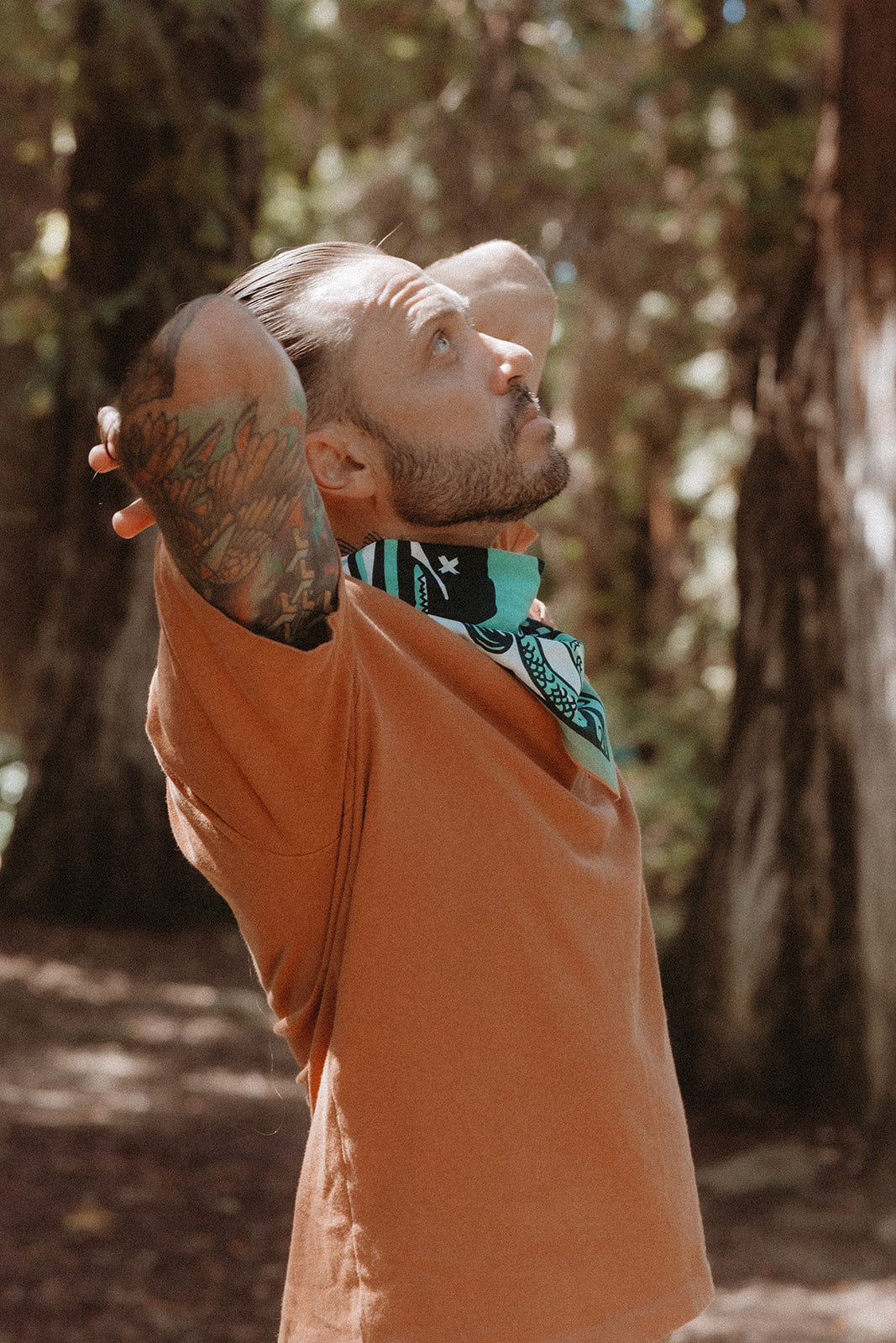 Due North-MesaThread