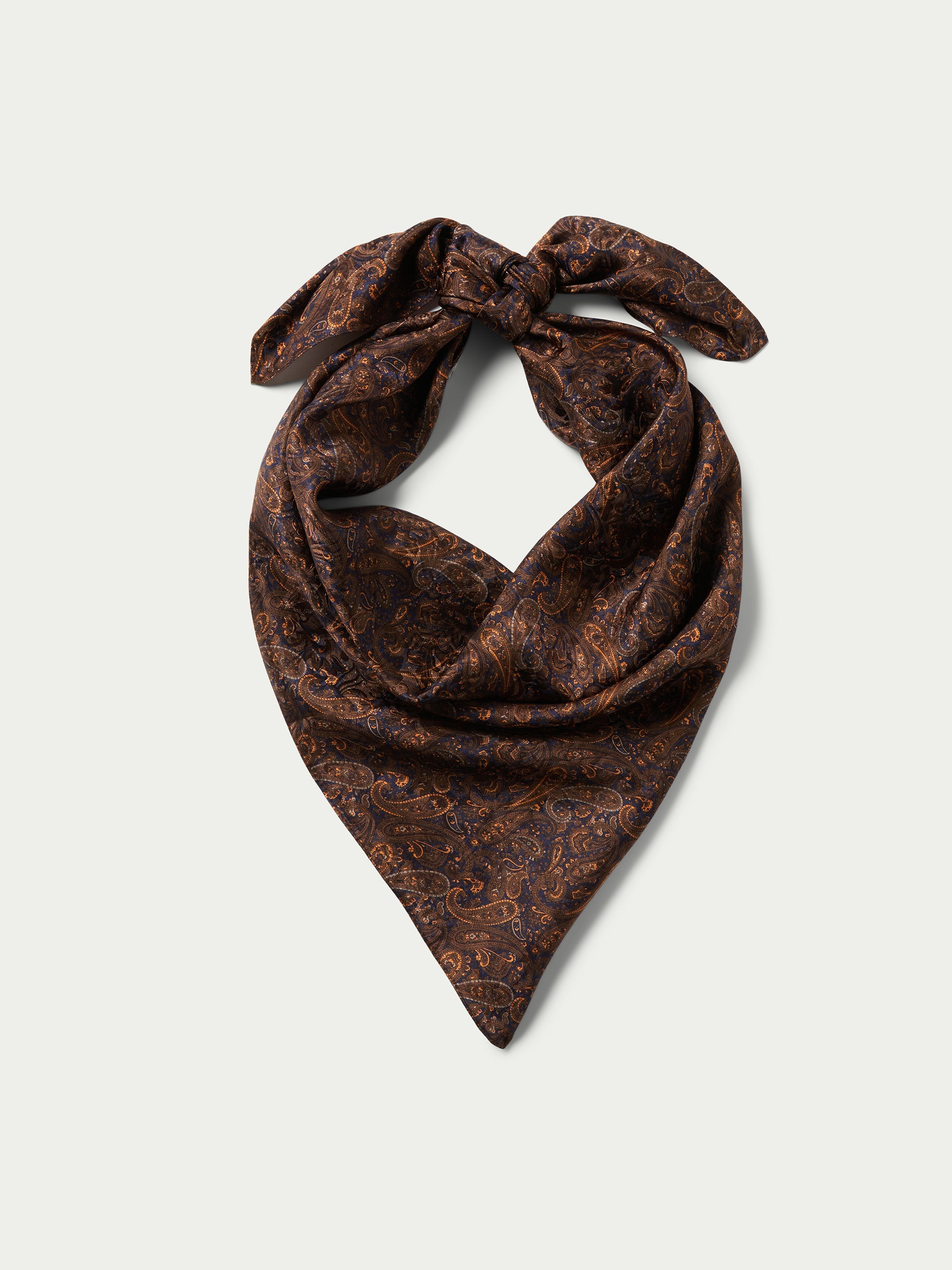 Paisley Wild Rags-MesaThread