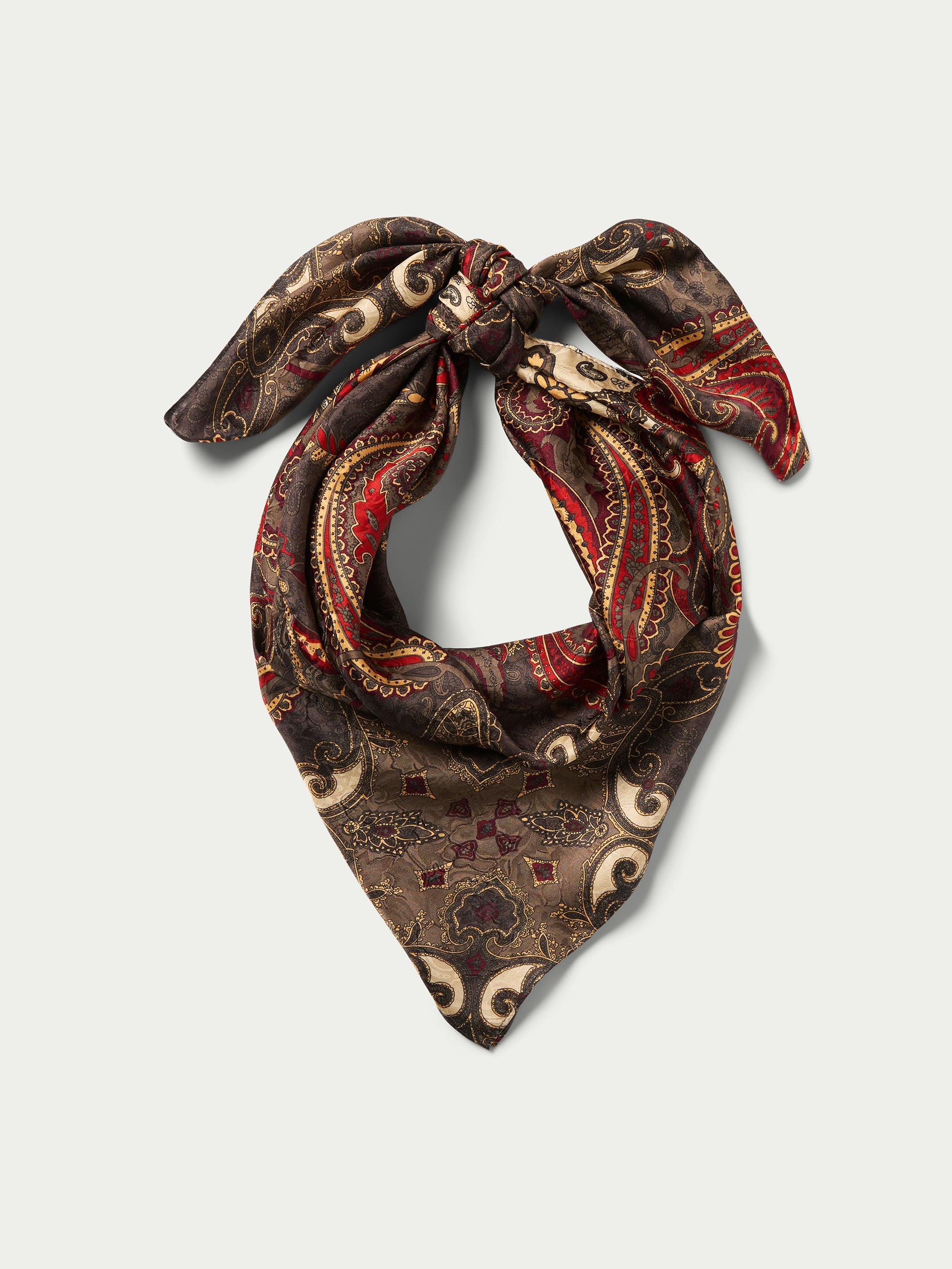 Paisley Wild Rags-MesaThread