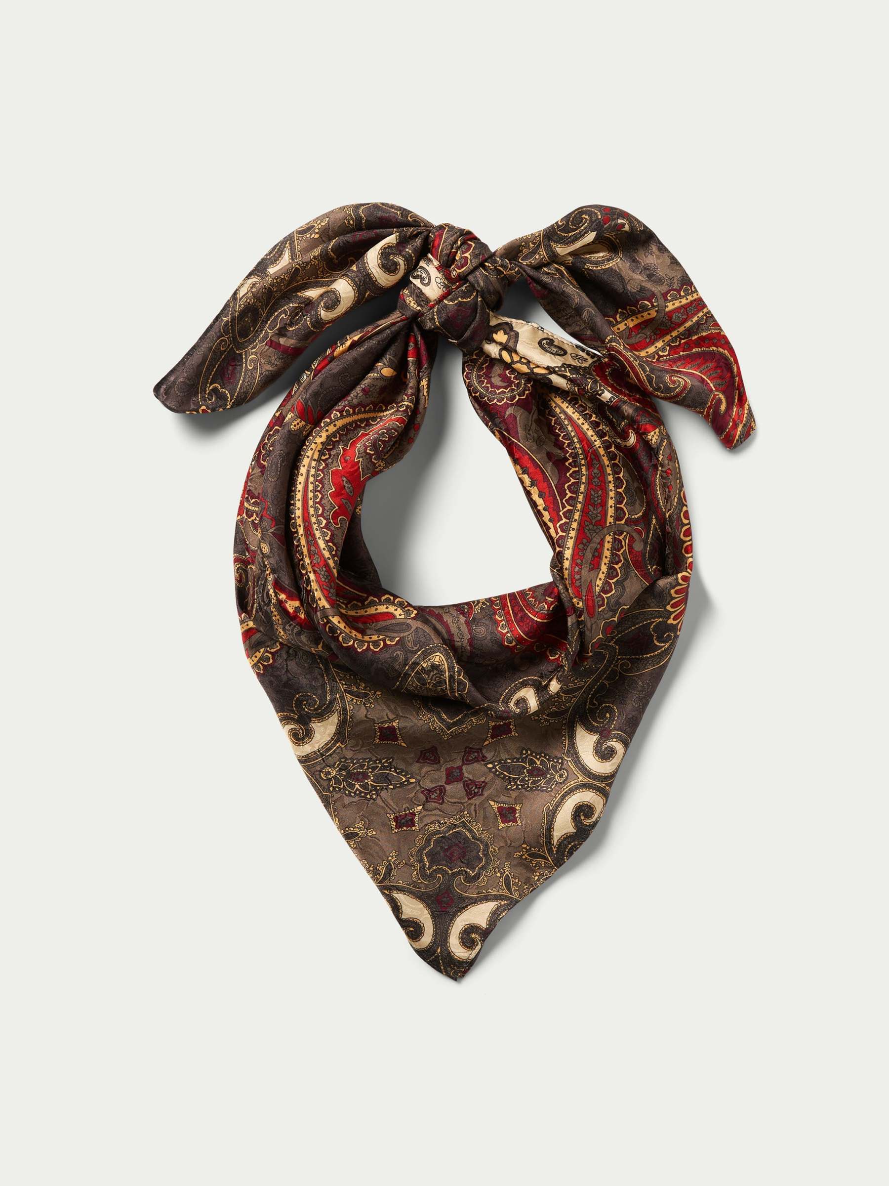 Paisley Wild Rags-MesaThread