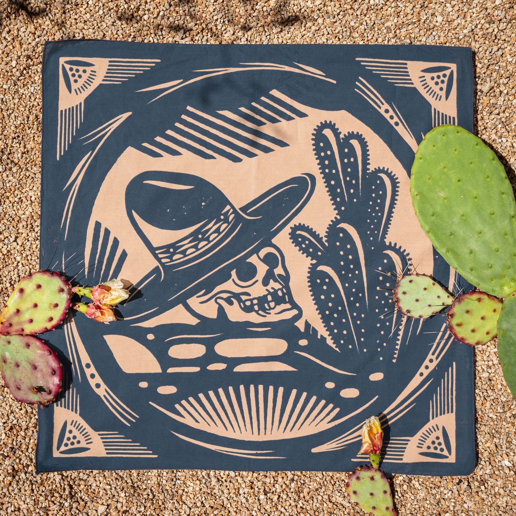 El Rito Nights-MesaThread