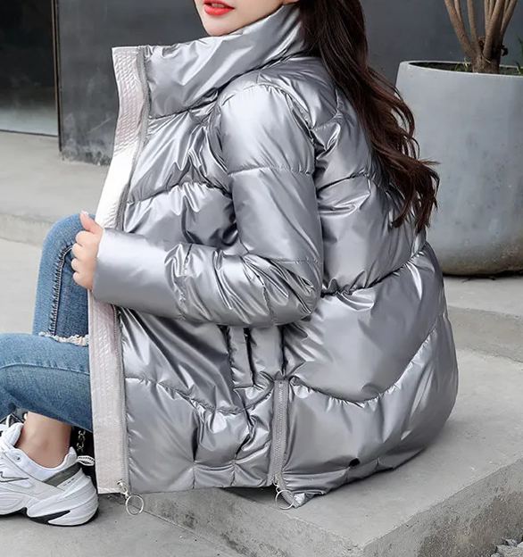 [Copy]Designer down embroidered jacket