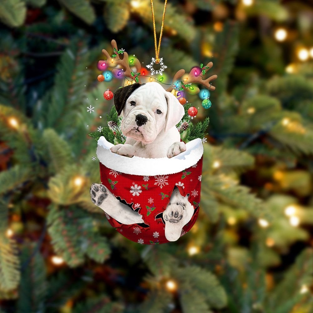 WHITE Boxer In Snow Pocket Ornament