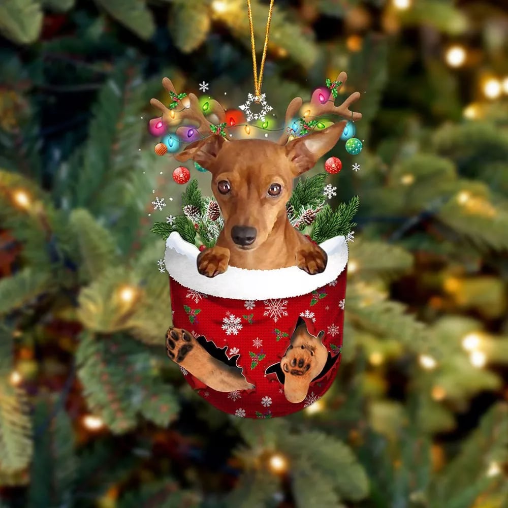 RED Miniature Pinscher In Snow Pocket Ornament