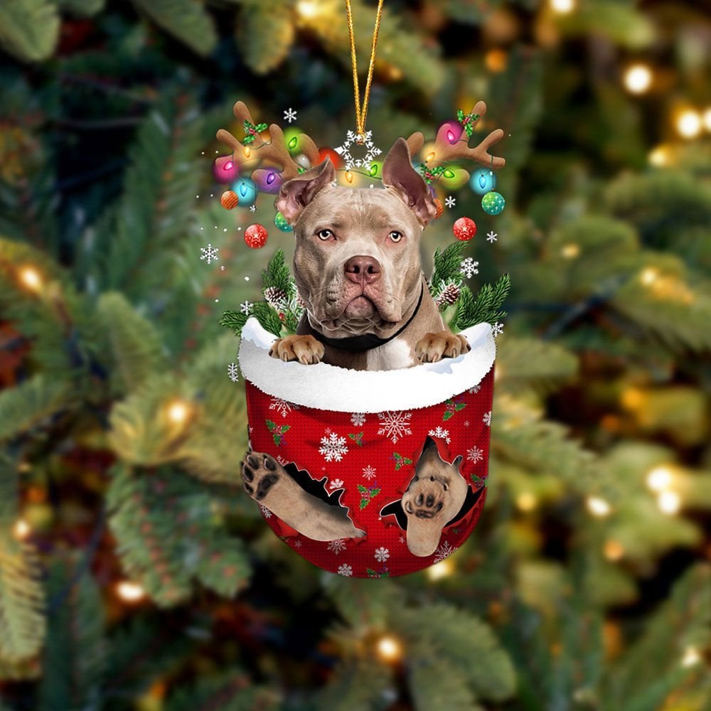 American Bully In Snow Pocket Ornament