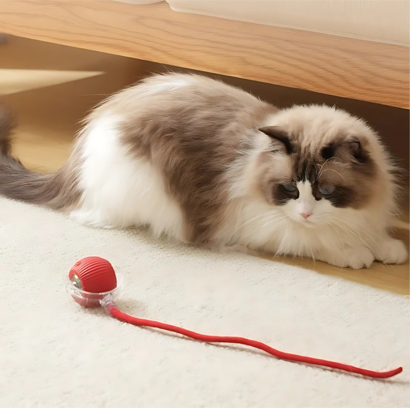 PAWZZY ROLLING CAT TOY-SMART,SELF-ACTIVATINGPLAVTIME FORINDOOR CATS