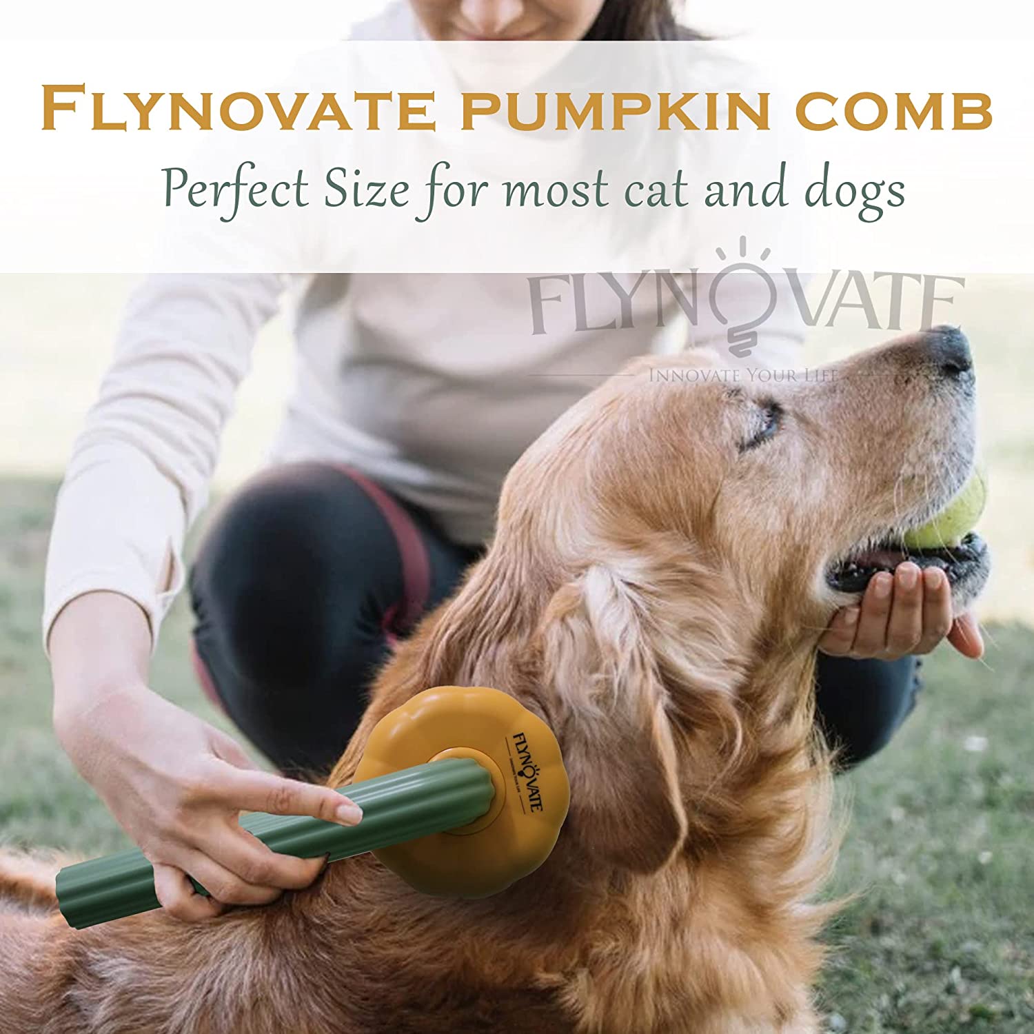 🔥50% off last day🔥 Push-Off Pet Hair Brush