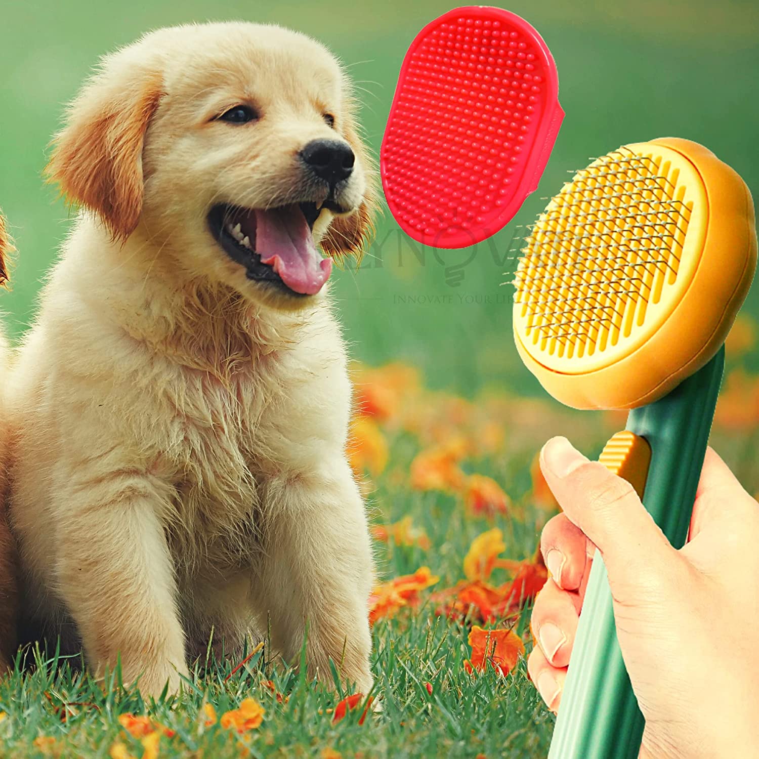 🔥50% off last day🔥 Push-Off Pet Hair Brush