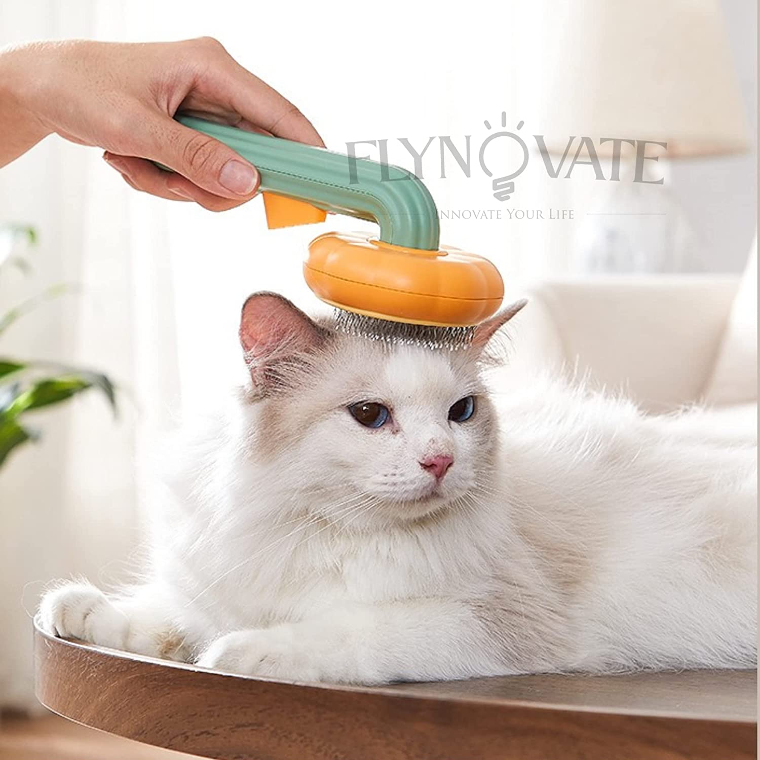 🔥50% off last day🔥 Push-Off Pet Hair Brush