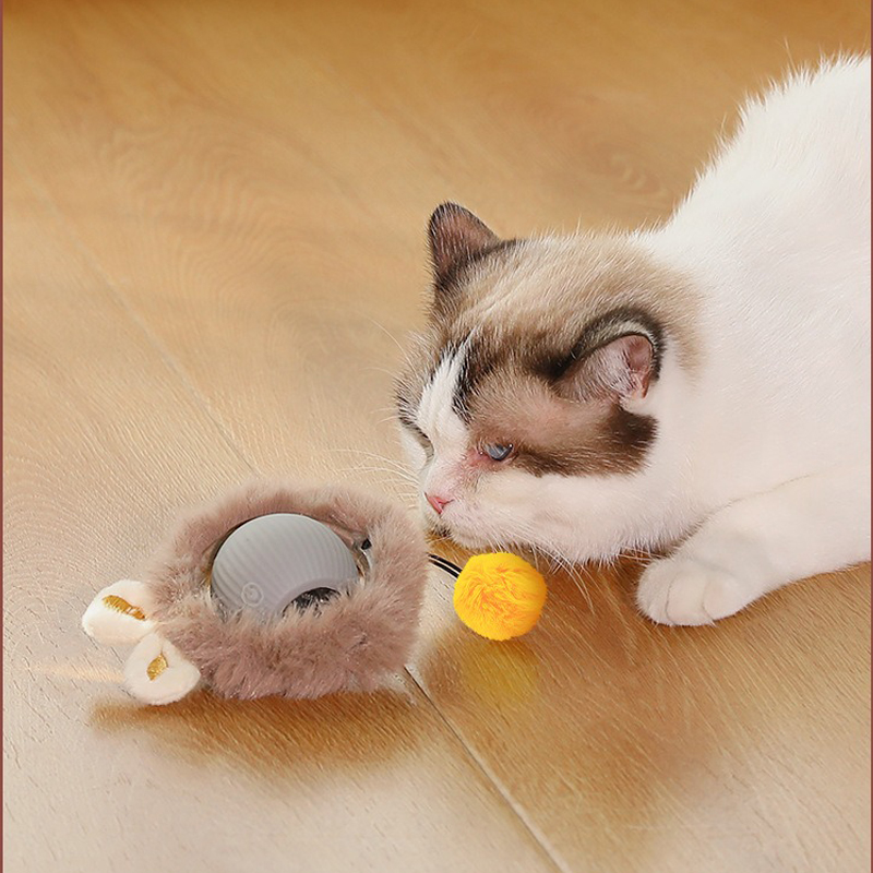 ✨2025 New Arrivals, 50% Discount✨Pet cat smart self-sports toy ball