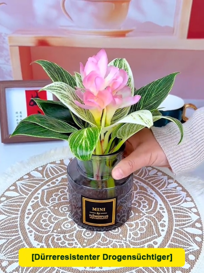 🌿Silny filtr pochłaniający formaldehyd i inne substancje toksyczne, platynowa doniczka diamentowa, która pochłania szkodliwe gazy i oczyszcza powietrze 🏠