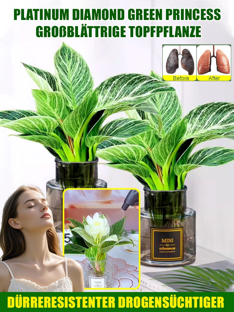 🌿Silny filtr pochłaniający formaldehyd i inne substancje toksyczne, platynowa doniczka diamentowa, która pochłania szkodliwe gazy i oczyszcza powietrze 🏠