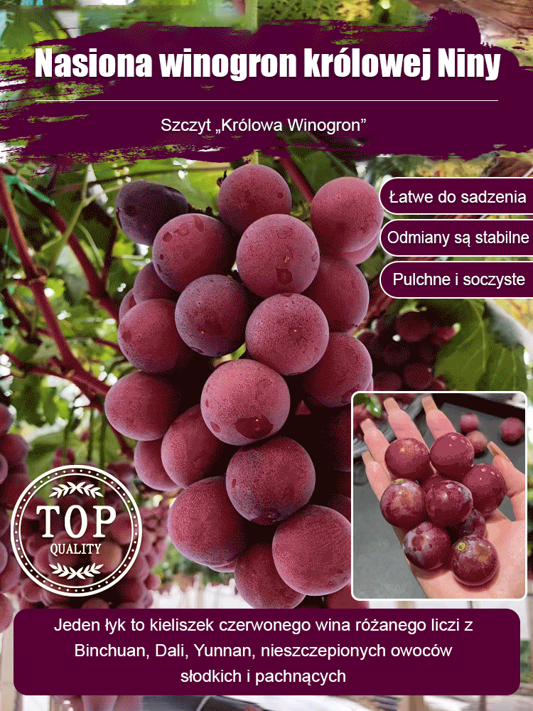 Ziarna winogron królowej Niny z naturalnym aromatem wina